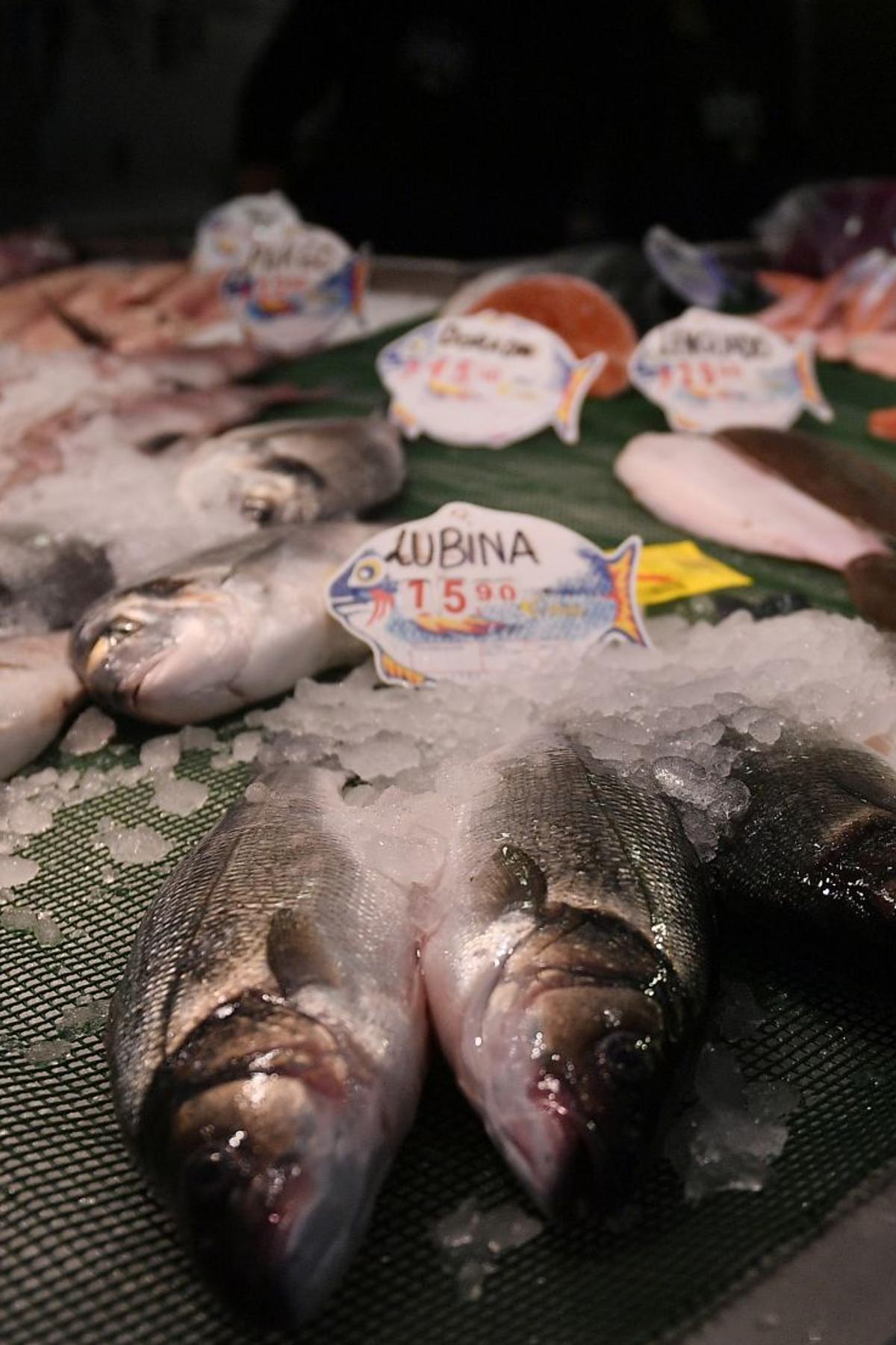 De qué habla Europa cuando pide que la pesca en el Mediterráneo sea más sostenible