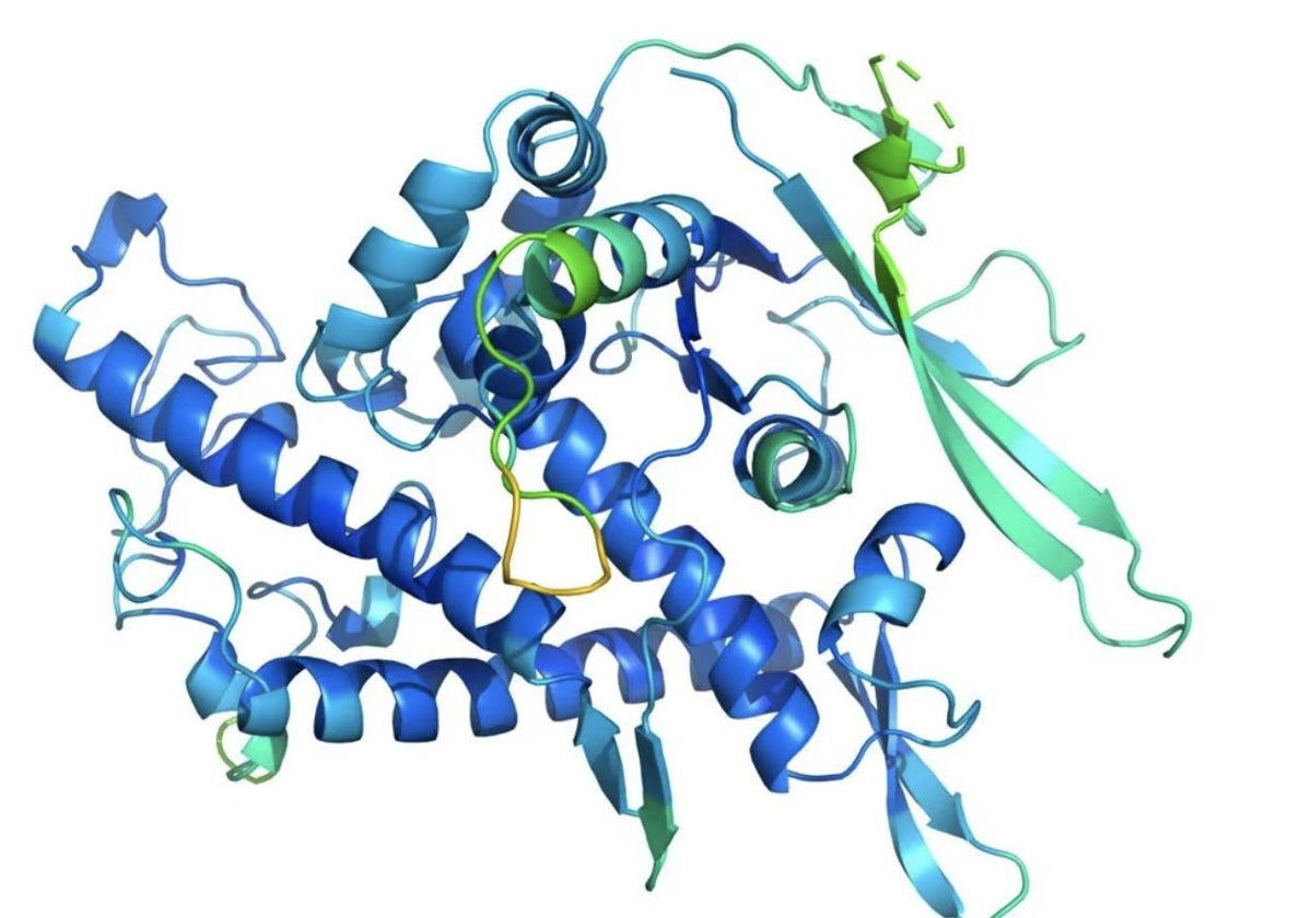 Representación tridimensional de una de las proteínas analizadas. Conocer su disposición resulta fundamental para entender sus funciones