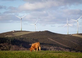 Mazazo para el Gobierno verde: aumentan un 10% las emisiones