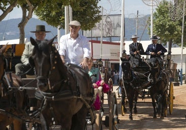 El Consistorio licita la obra de los accesos al estadio y la plantación de 174 árboles para la Feria