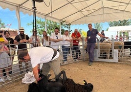 El Borril: referente de participación y sensibilización medioambiental en la provincia de Toledo