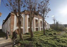 La necrópolis romana encarece un 10% la aportación municipal a las obras de la Fábrica de Vidrios de Sevilla